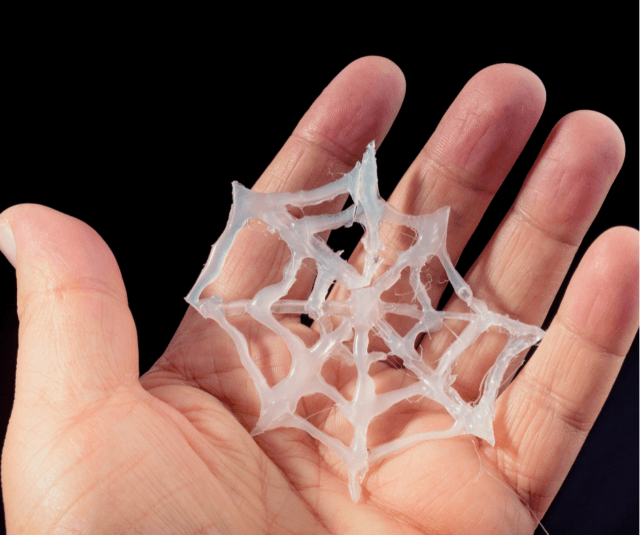 Spider Web Building Challenge